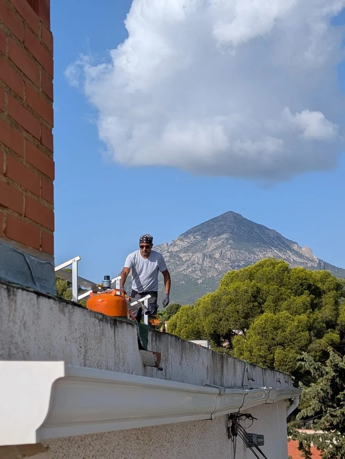 Profesional DAM TECHO